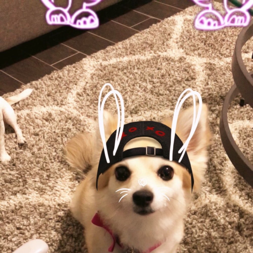 Meet your Posher, Sheila